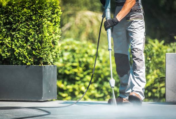 Best Driveway Pressure Washing  in Blacklick Estates, OH
